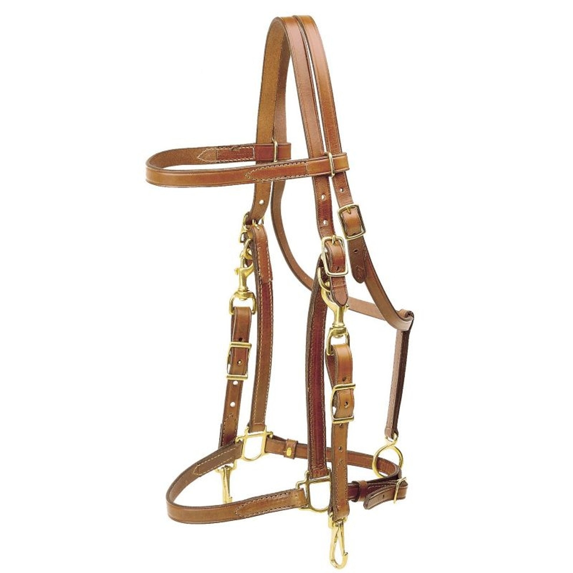 Tory Harness Leather Trail Bridle