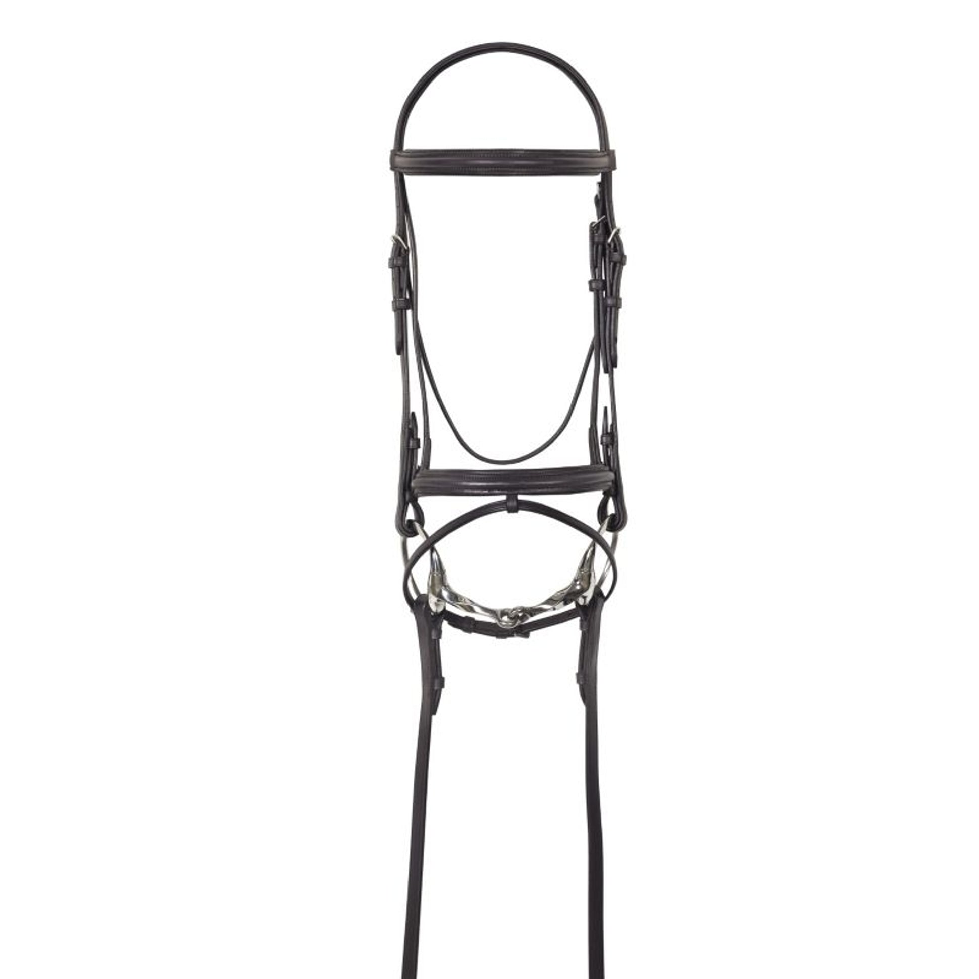 Camelot Lined Bridle with Flash