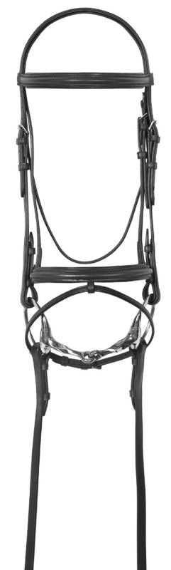Camelot Lined Bridle with Flash