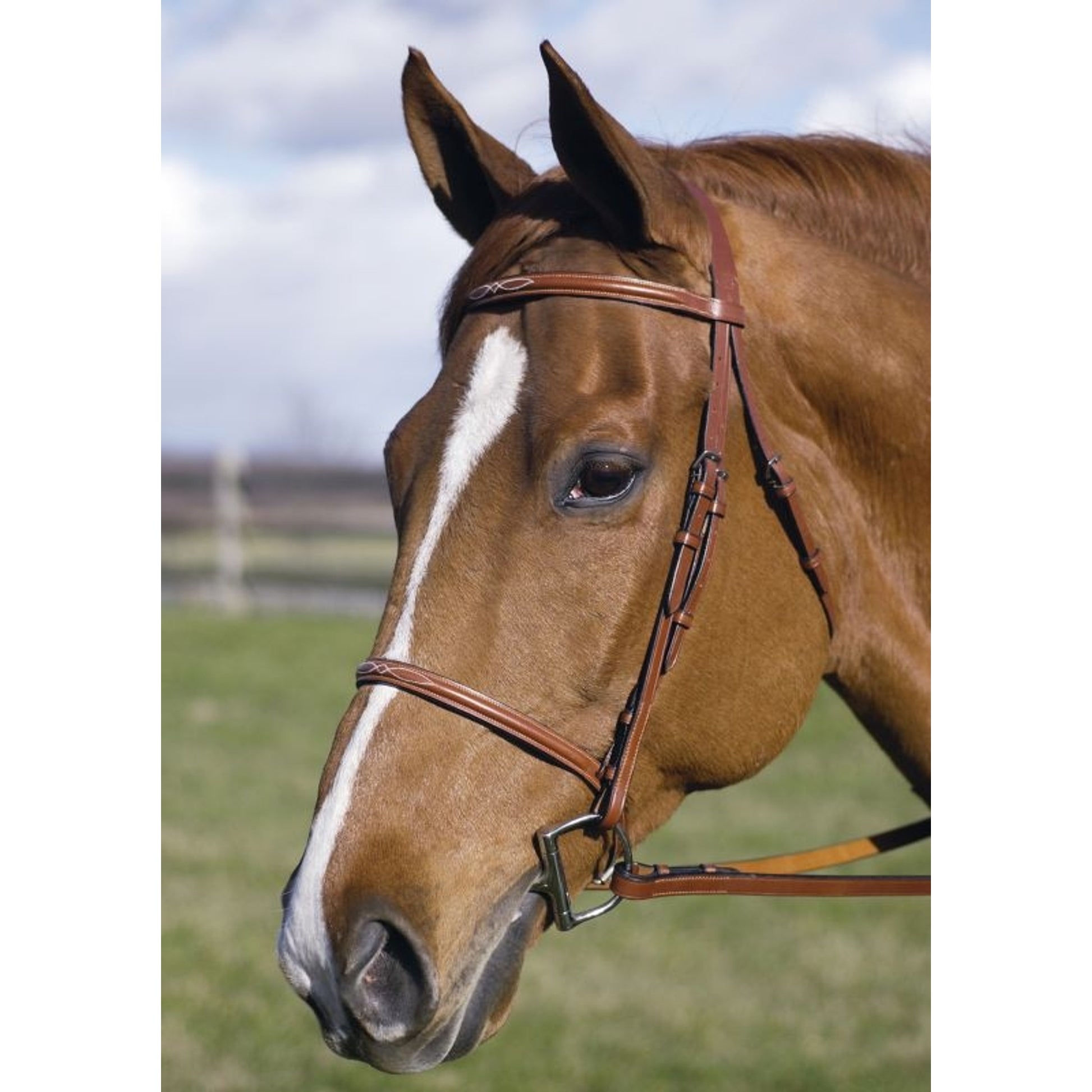 Henri De Rivel Fancy Raised Bridle