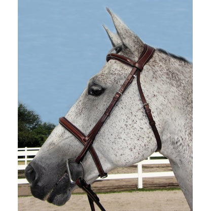 HDR Pro Stress Free Padded Bridle