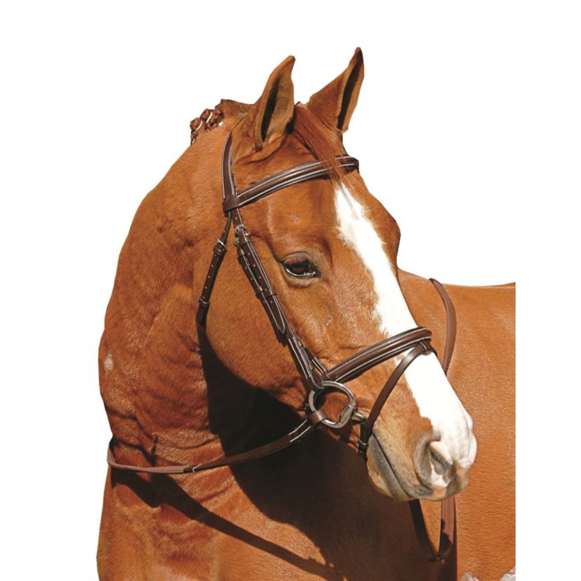 Henri De Rivel Monocrown Event Bridle