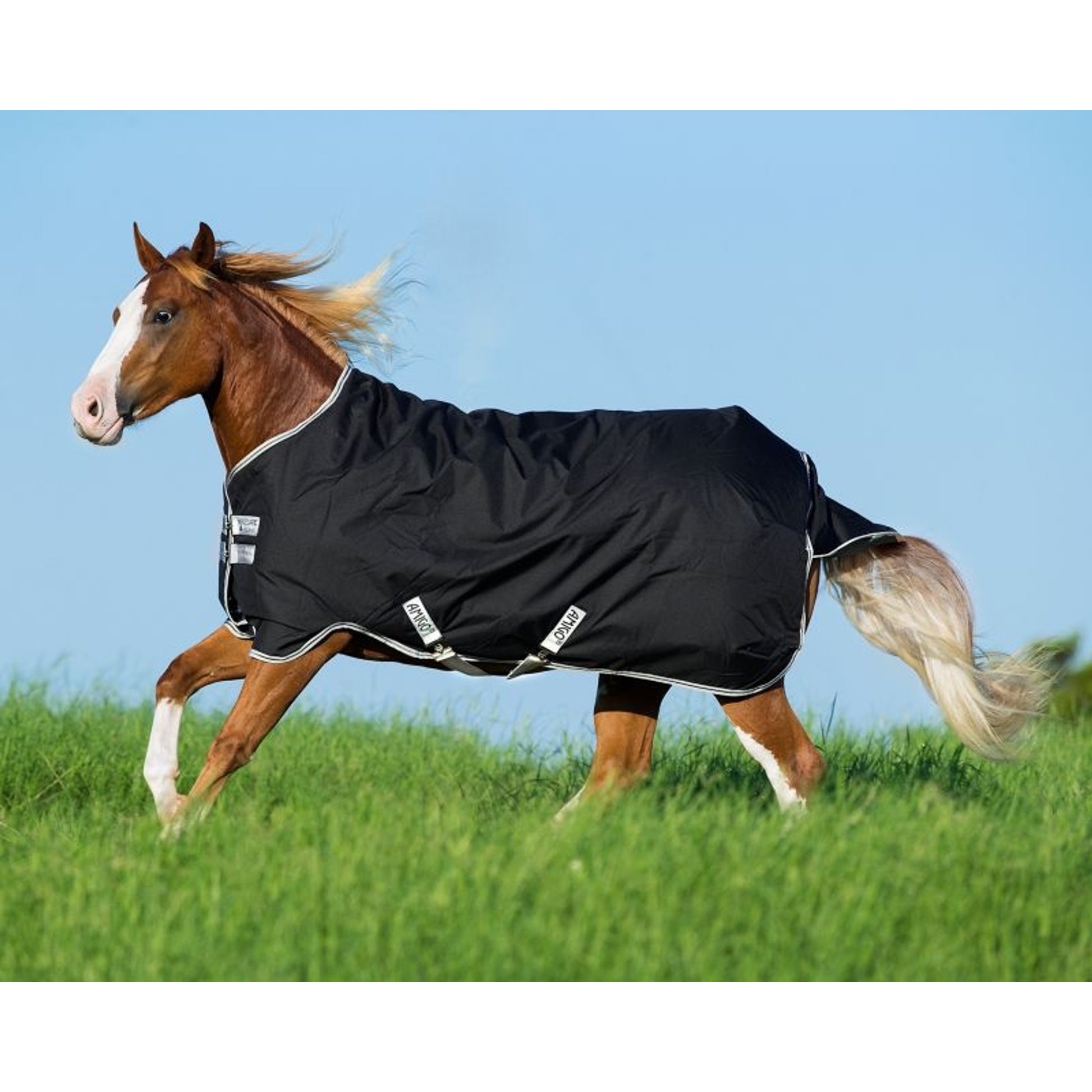 Amigo Stock Horse Turnout Sheet