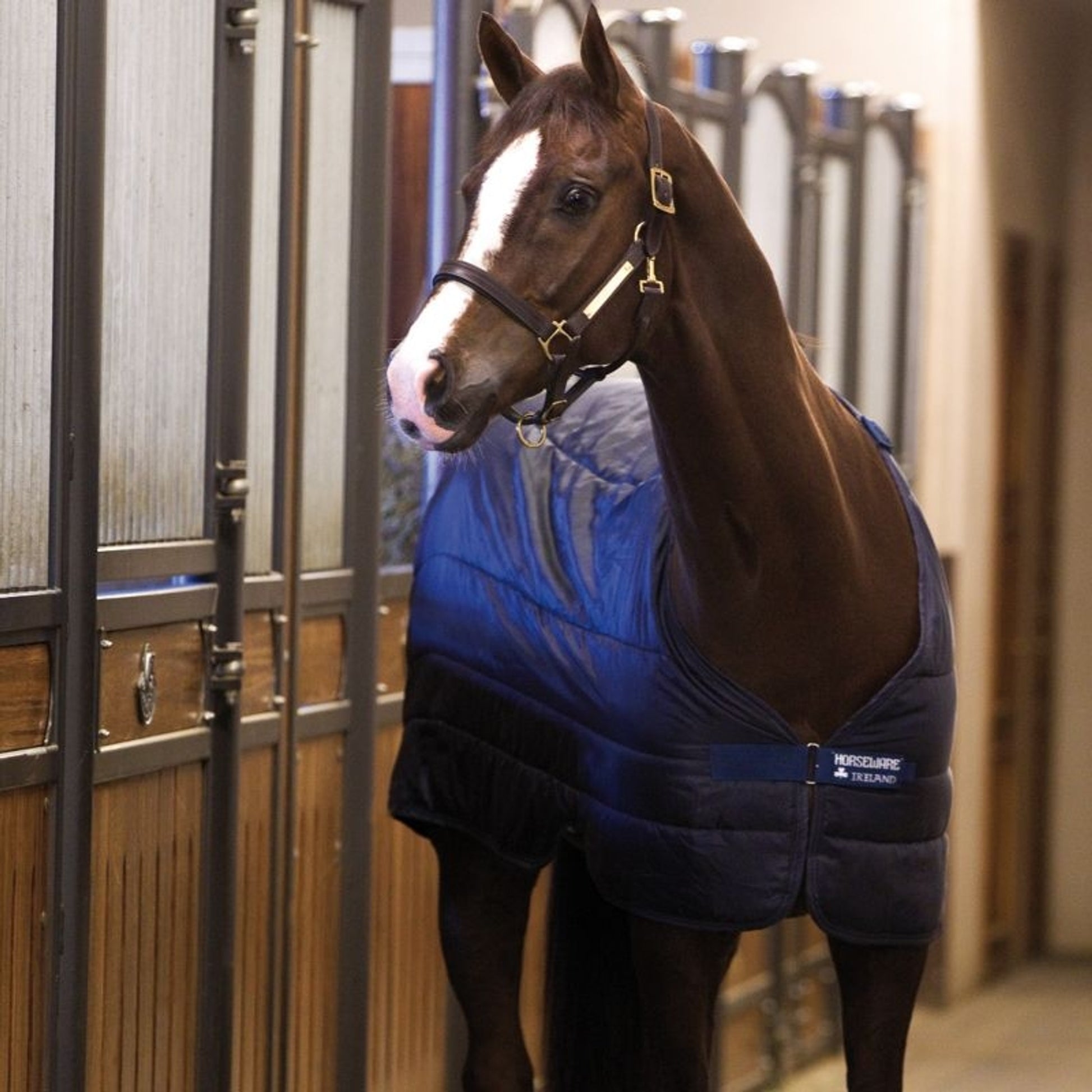 Horseware Blanket Liner 300g