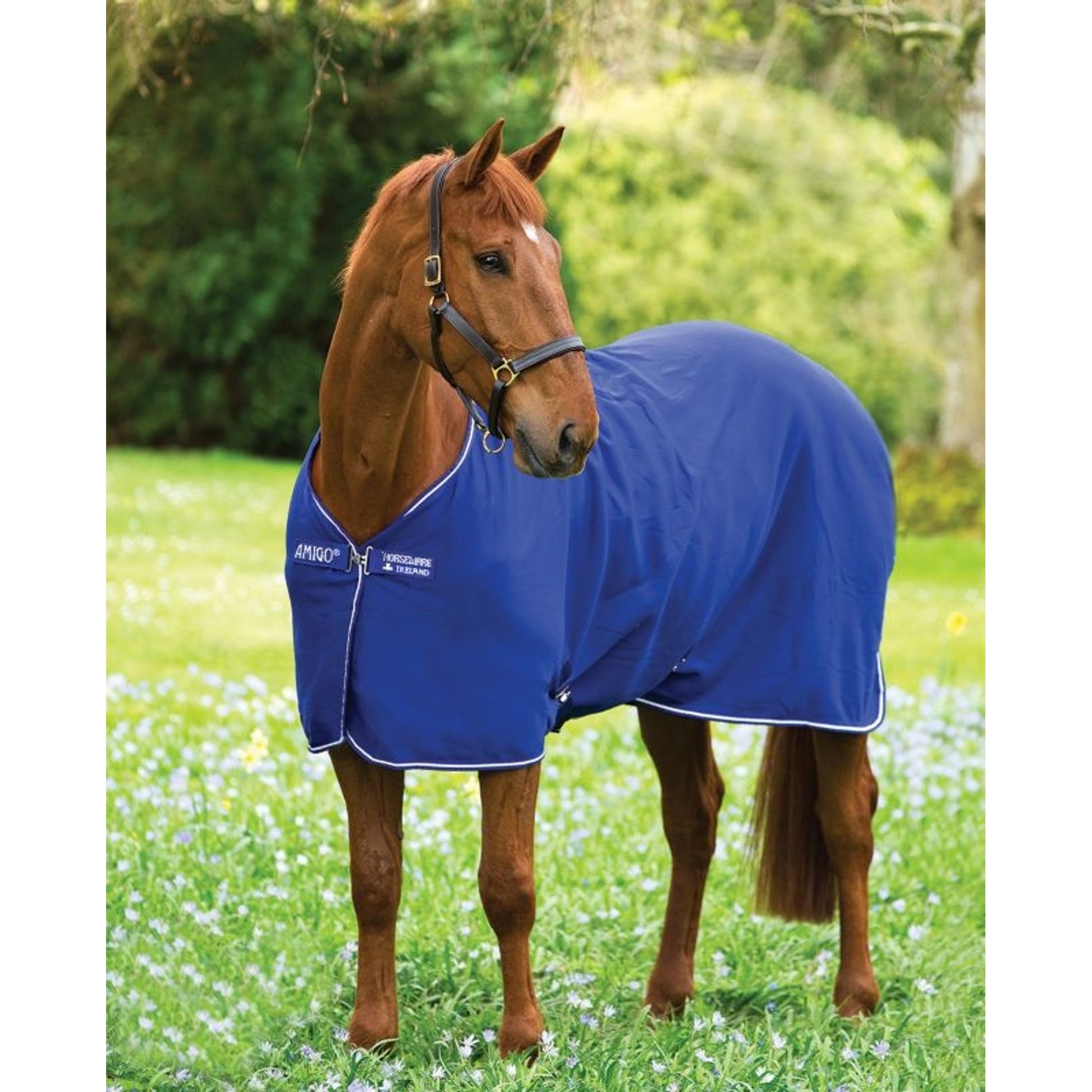Amigo Jersey Cooler