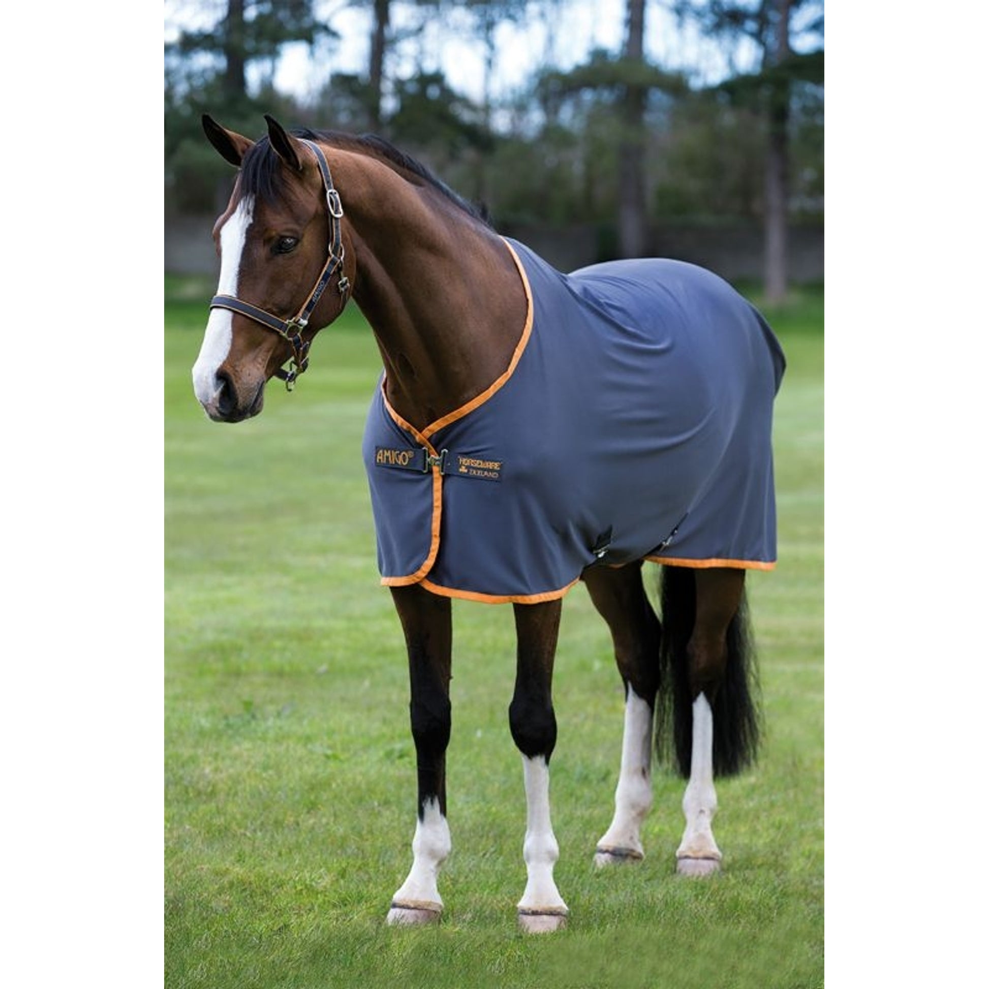 Amigo Jersey Cooler