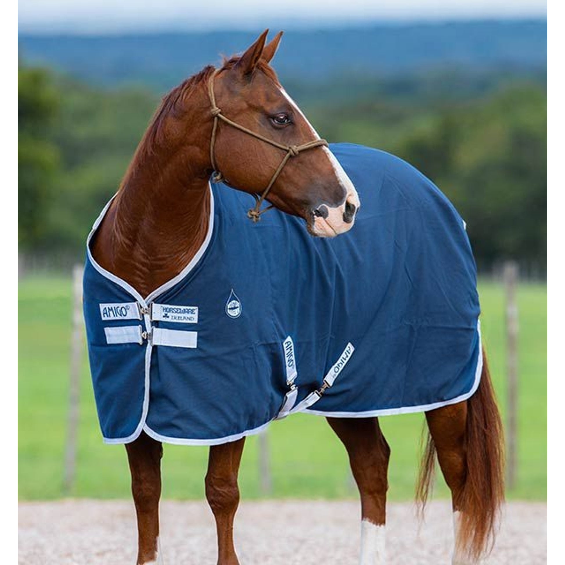 Amigo Stable Sheet