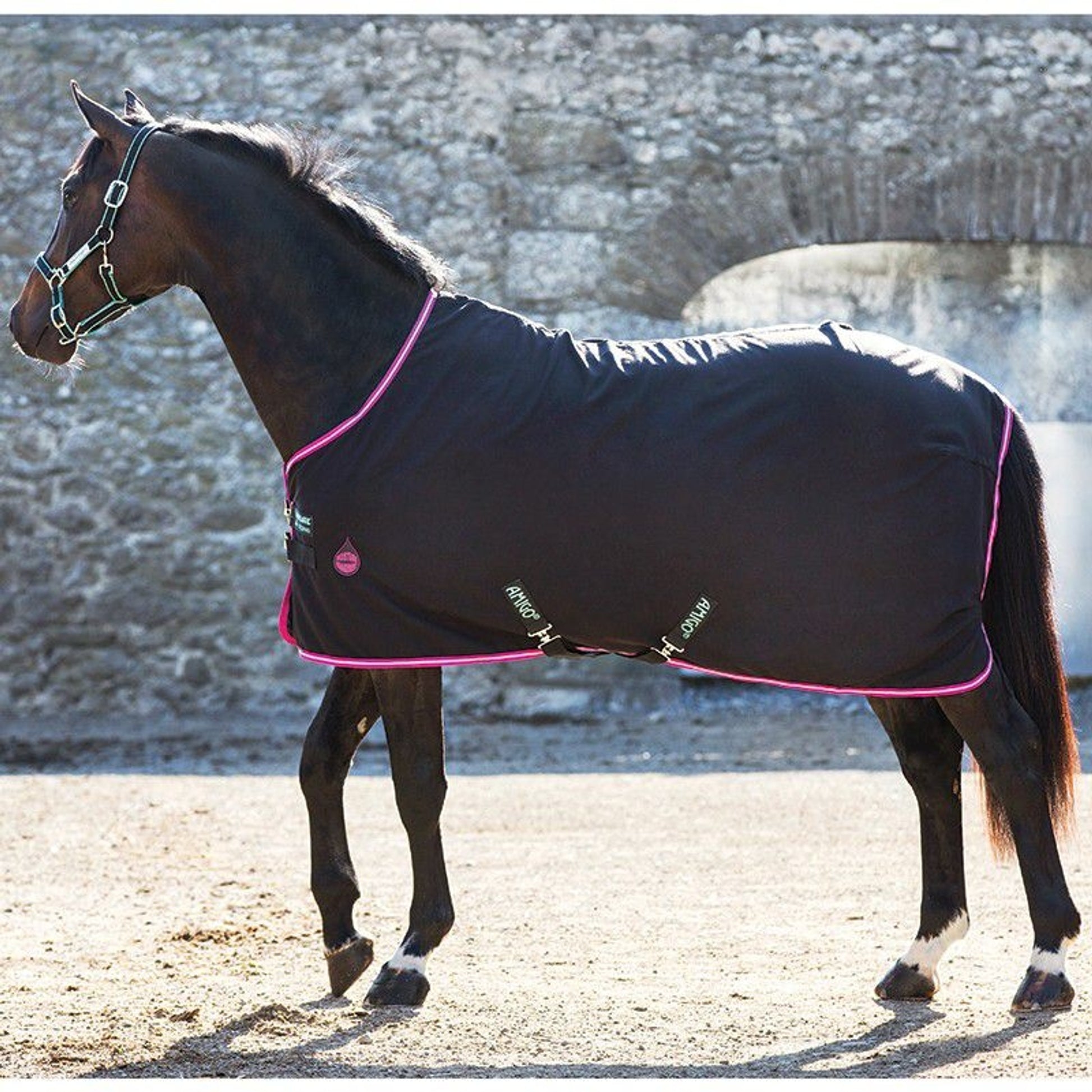 Amigo Stable Sheet