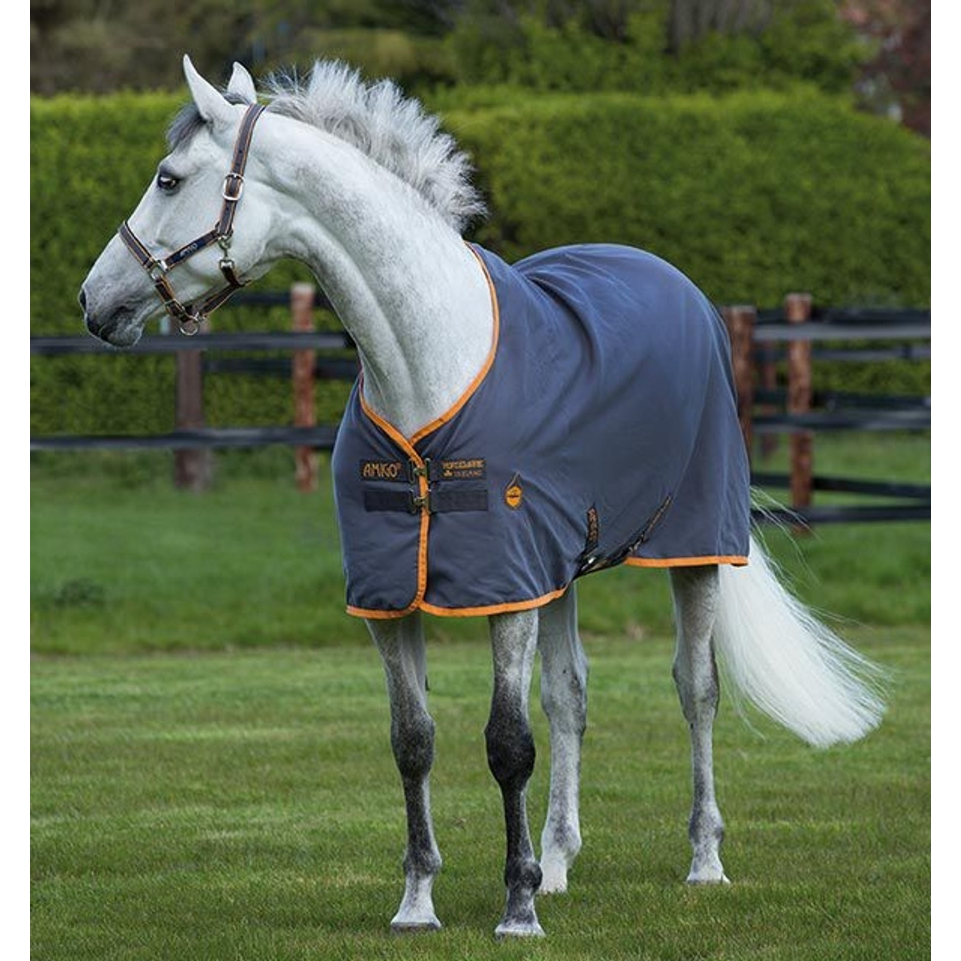 Amigo Stable Sheet
