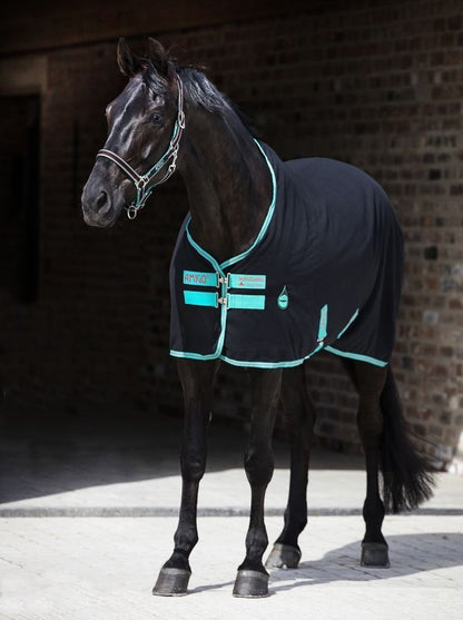 Amigo Stable Sheet