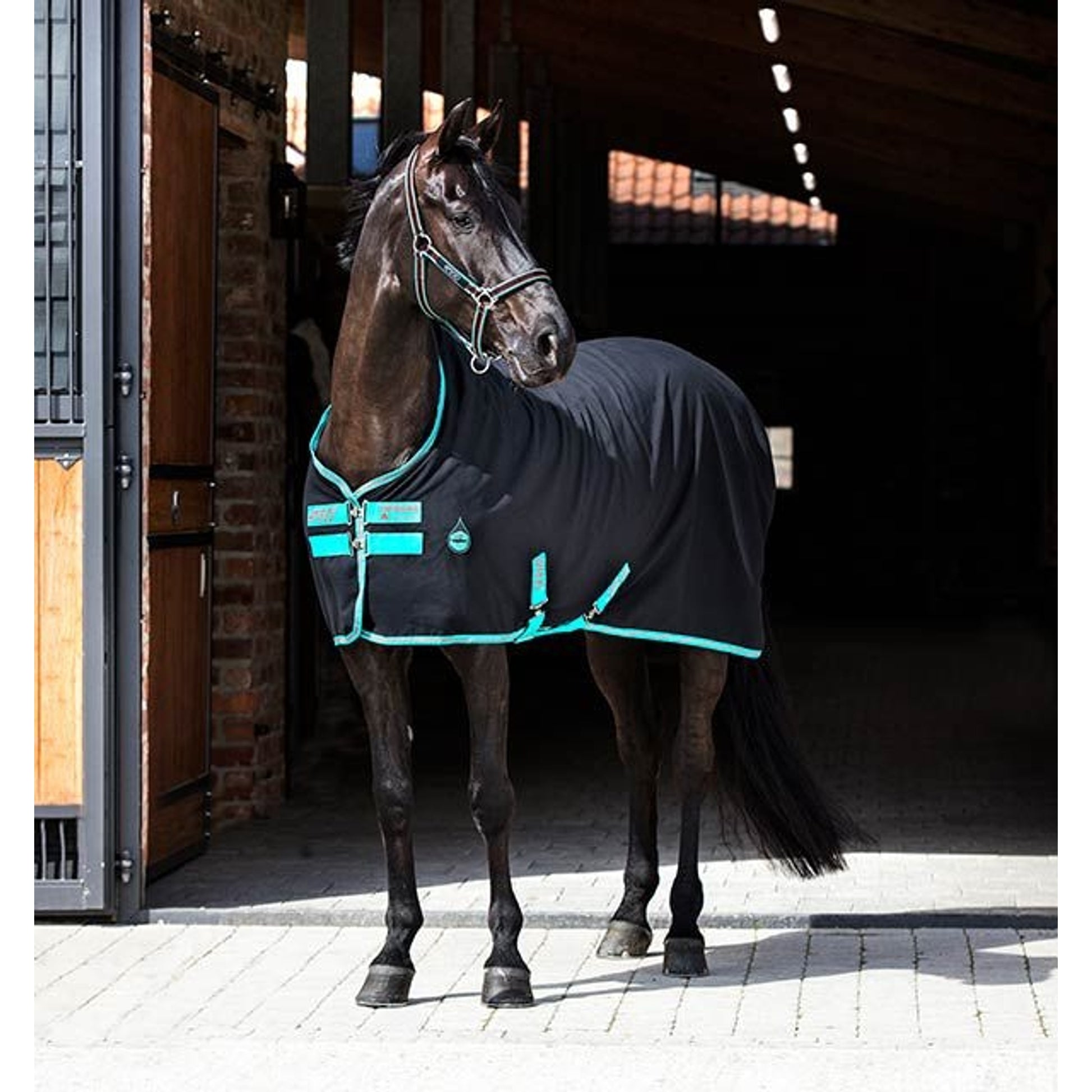 Amigo Stable Sheet