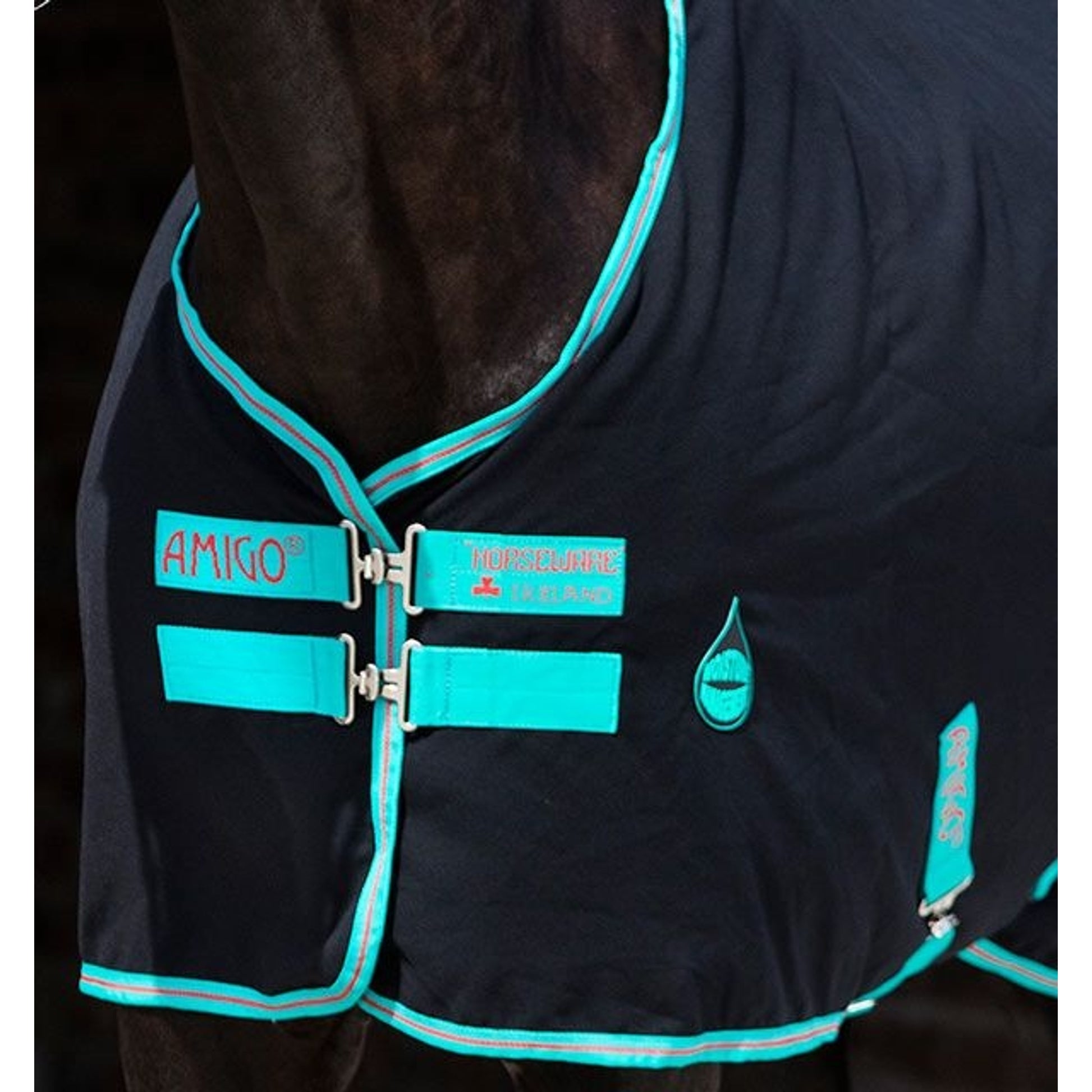 Amigo Stable Sheet