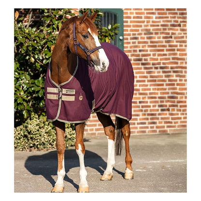 Amigo Stable Sheet