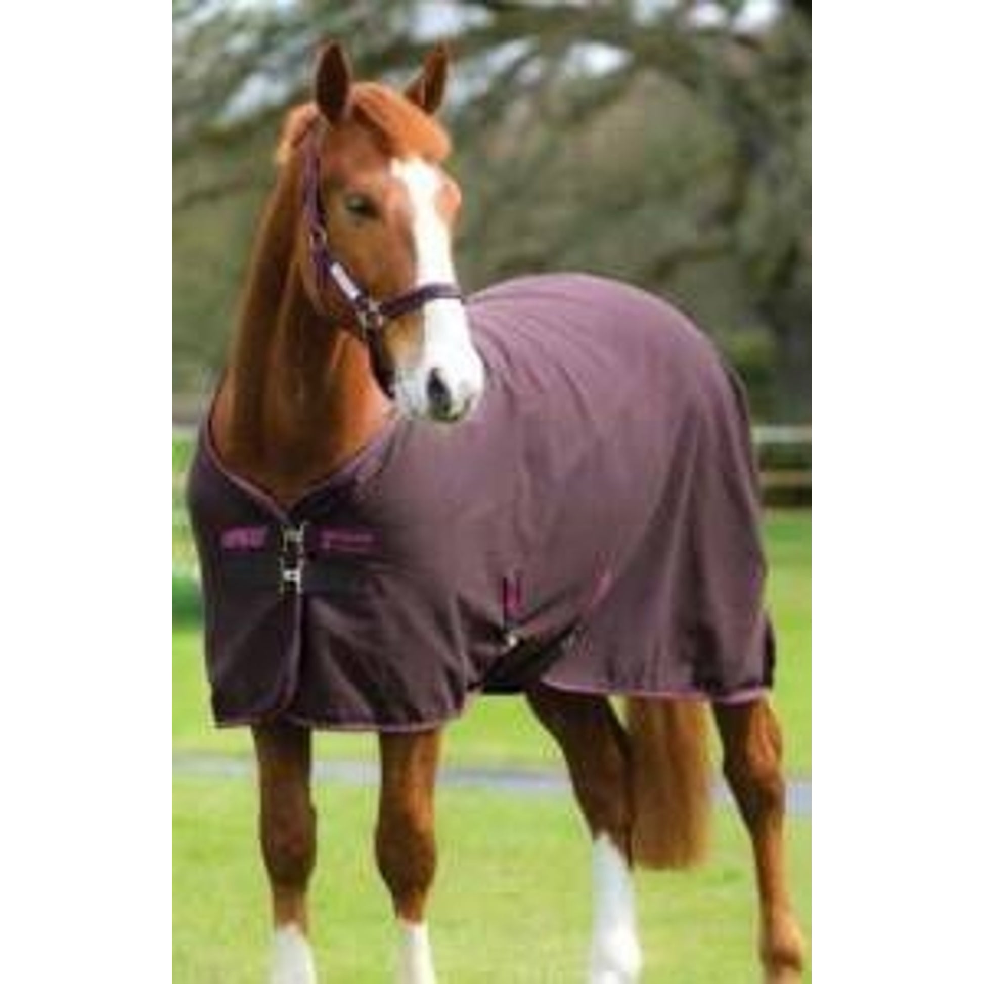 Amigo Stable Sheet