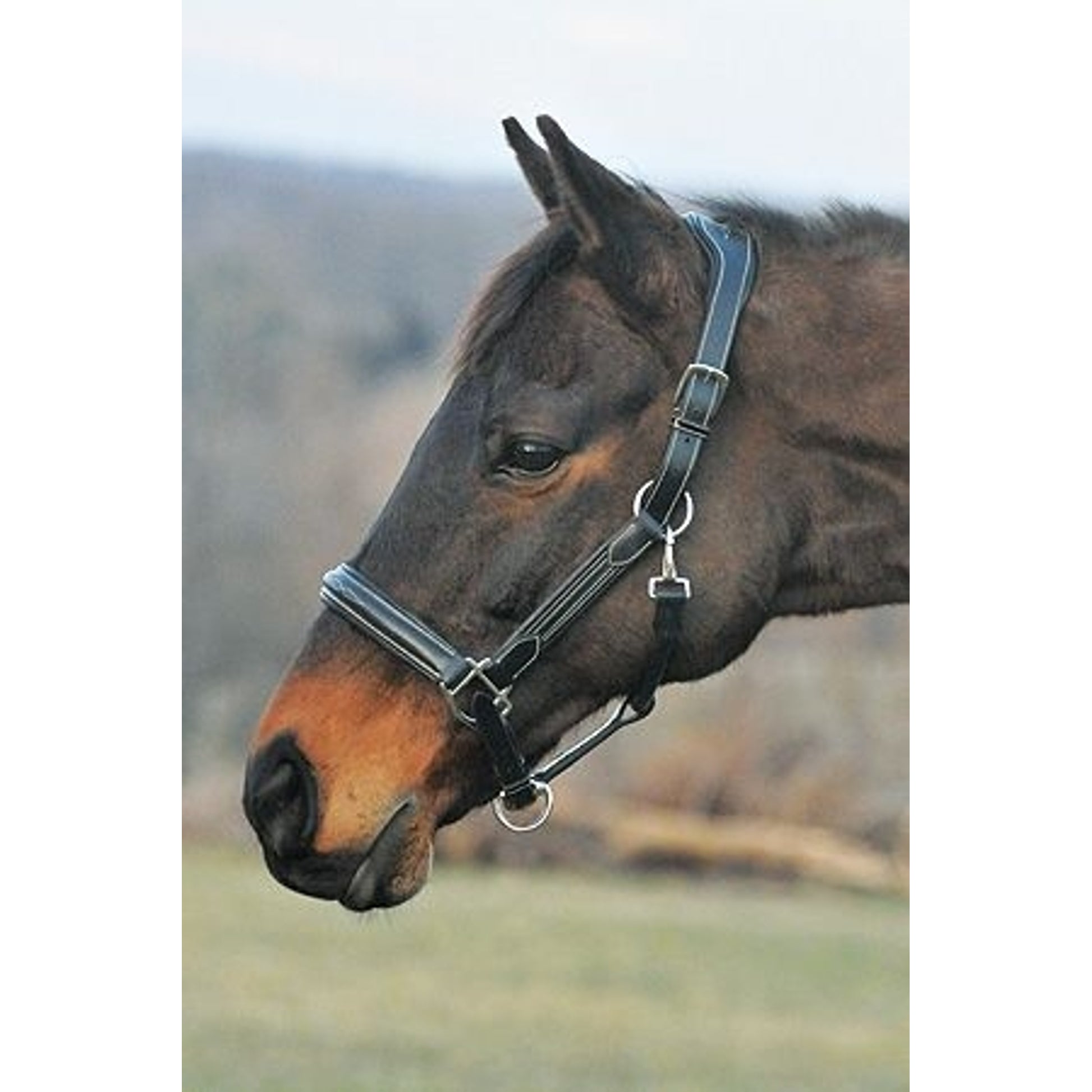 HDR Stress Free Fancy Stitch Halter