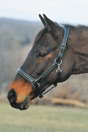 HDR Stress Free Fancy Stitch Halter