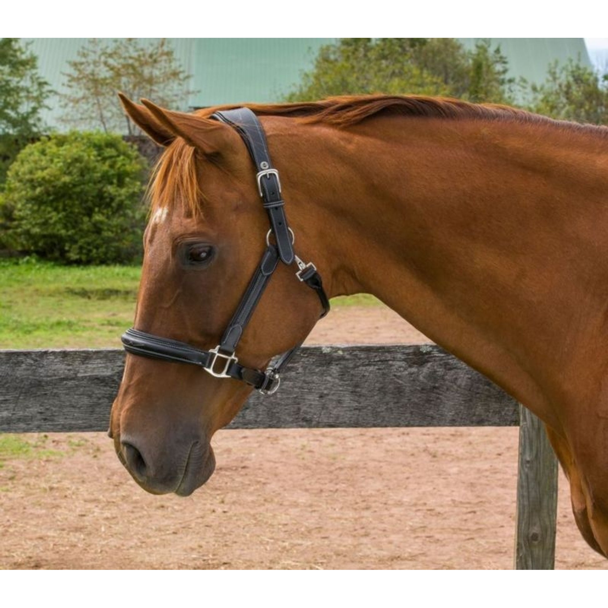 HDR Stress Free Fancy Stitch Halter