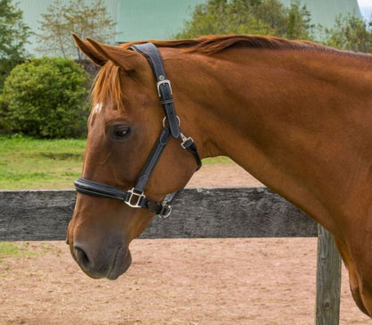 HDR Stress Free Fancy Stitch Halter