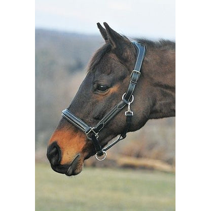 HDR Stress Free Fancy Stitch Halter