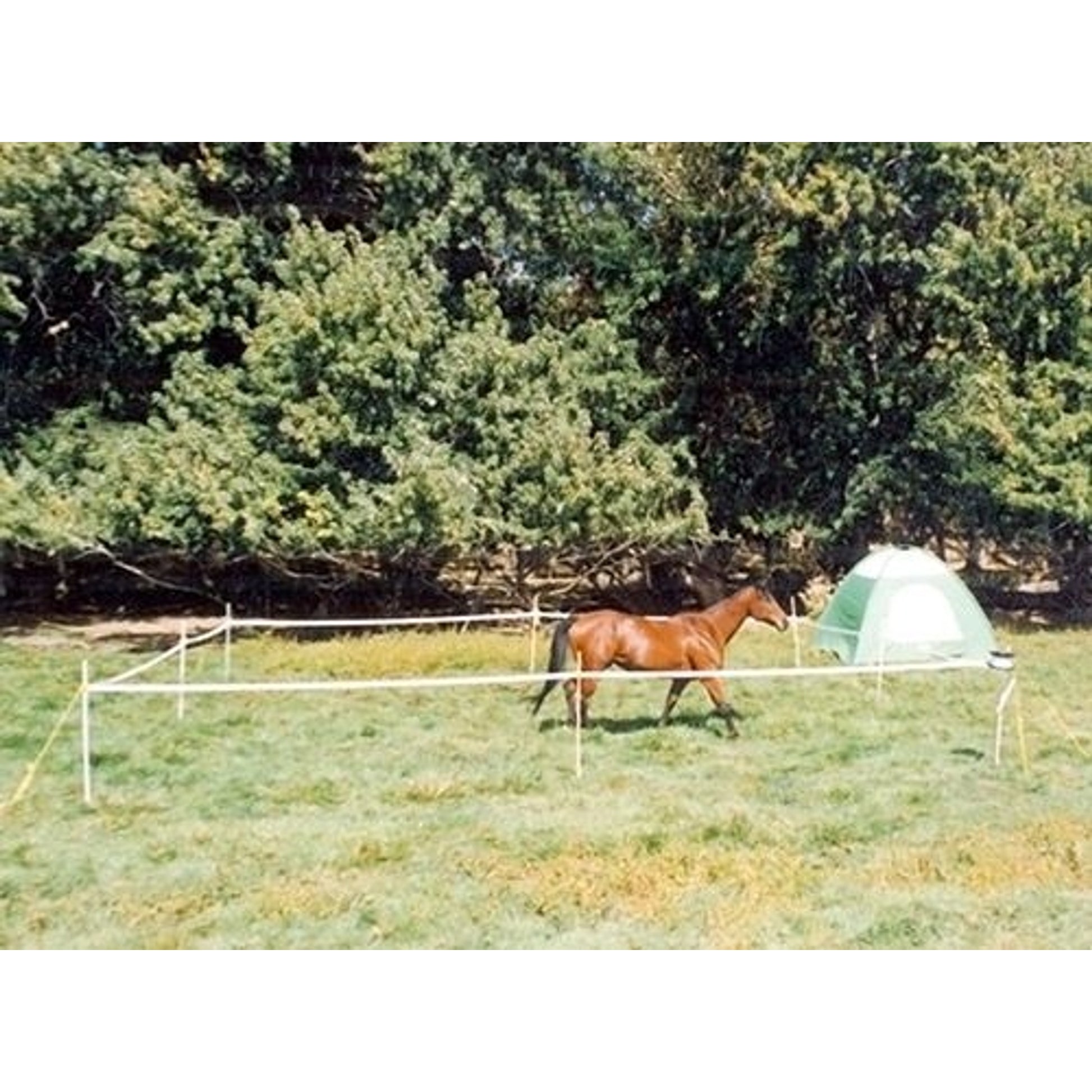 Powerfields Portable Corral