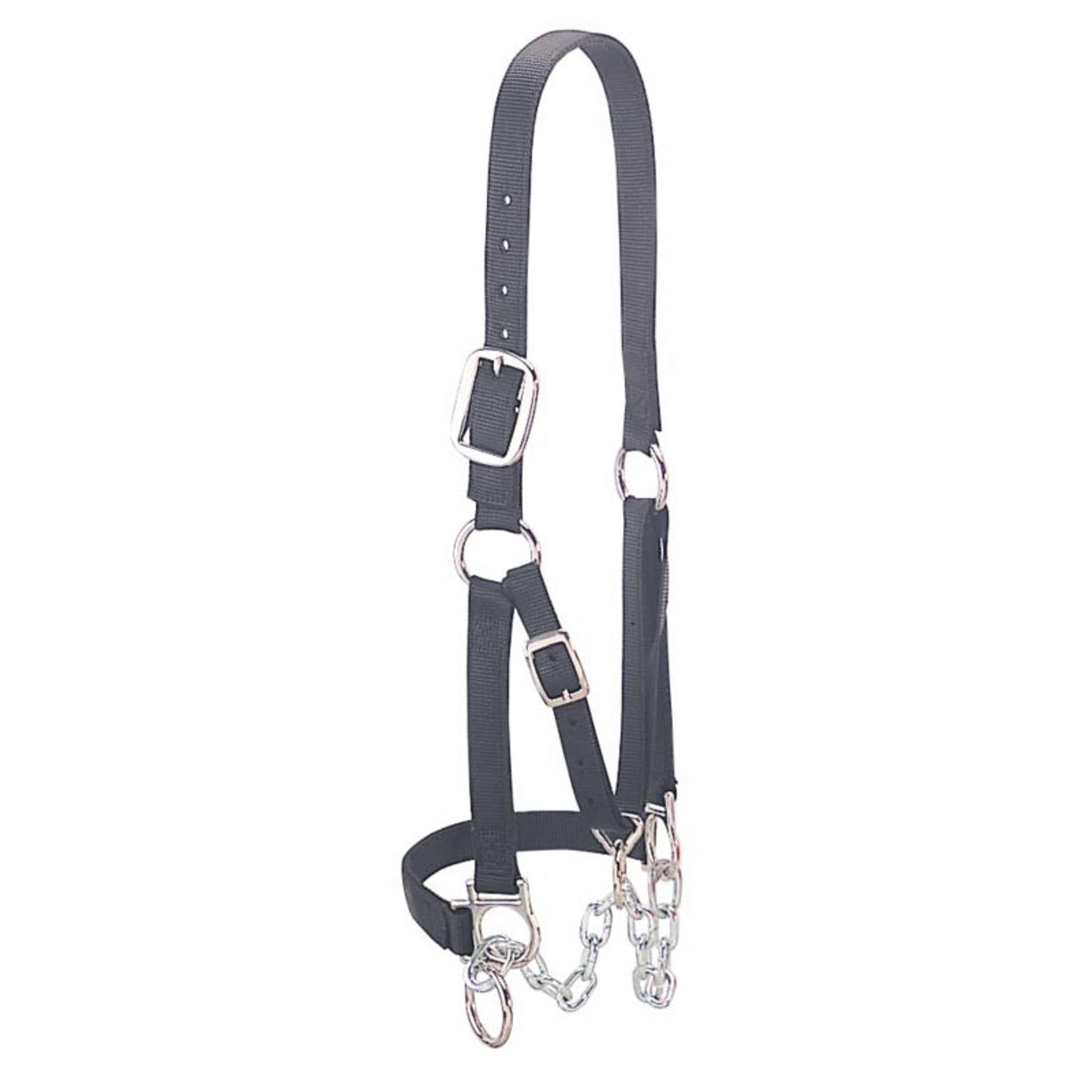 Heavy Duty Restraint Halter