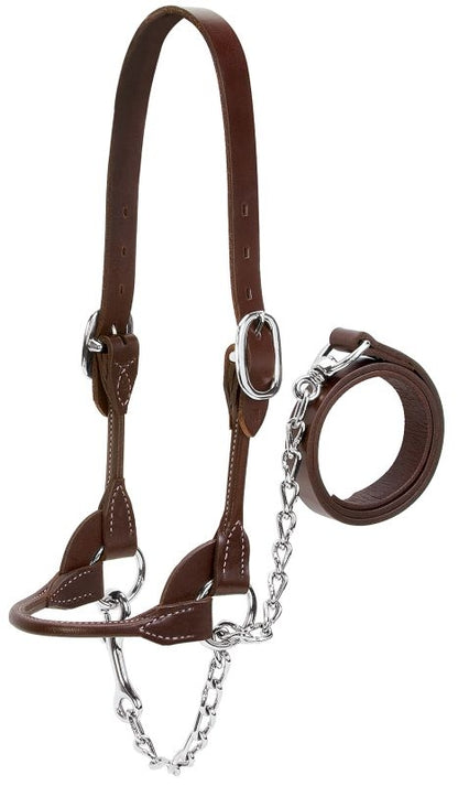 Dairy Beef Rounded Show Halter