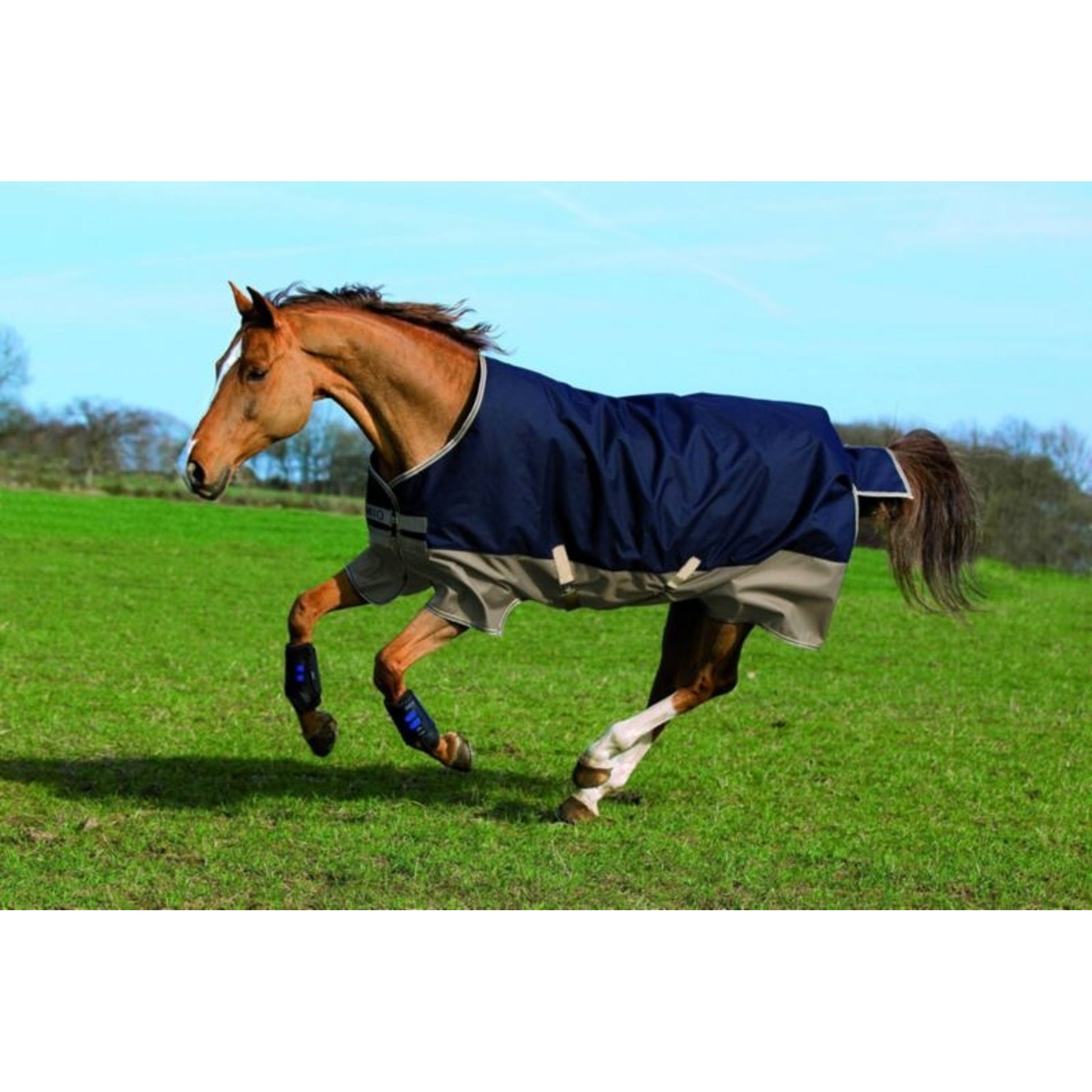 Mio Turnout Sheet Lite