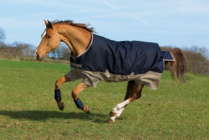 Mio Turnout Blanket Medium