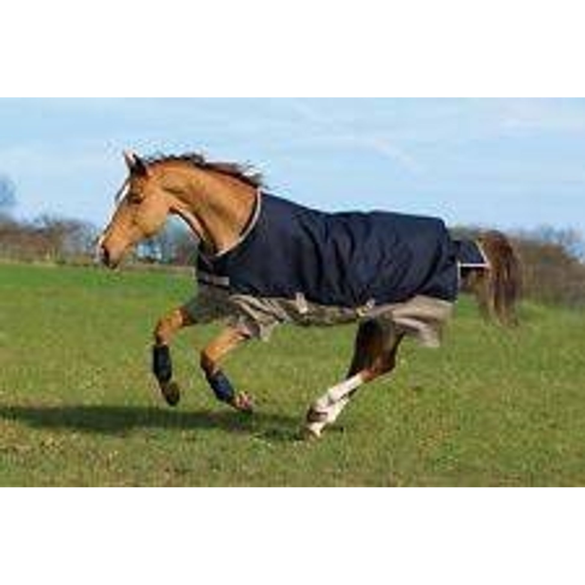 Mio Turnout Blanket Medium