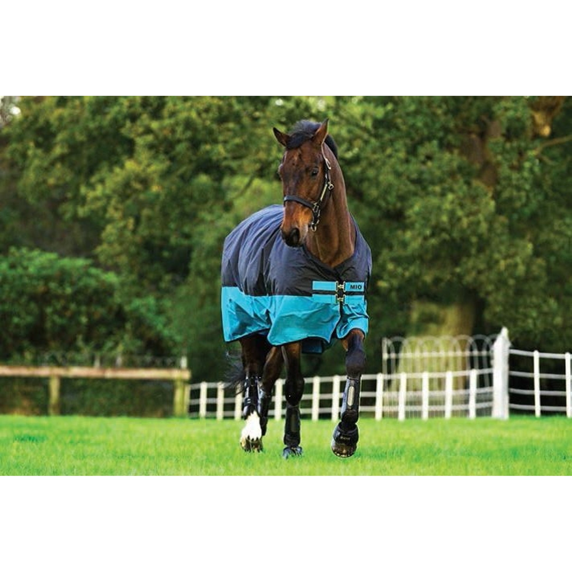 Mio Turnout Blanket Medium