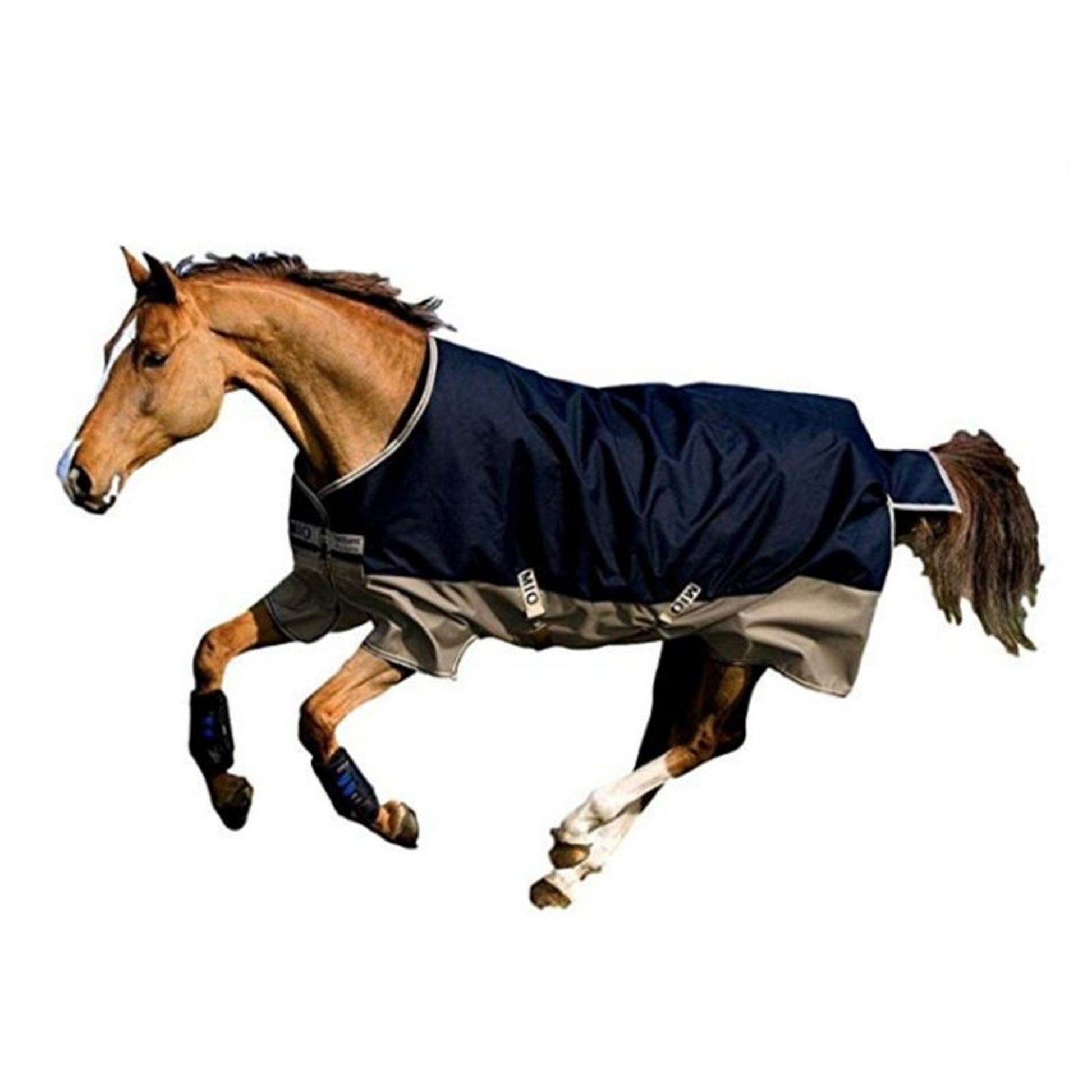 Mio Turnout Blanket Medium