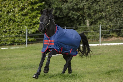 Mio Turnout Blanket Medium