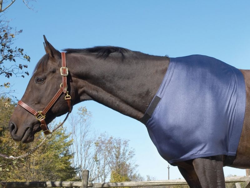 Equi-Essentials Stretch Shoulder Guard