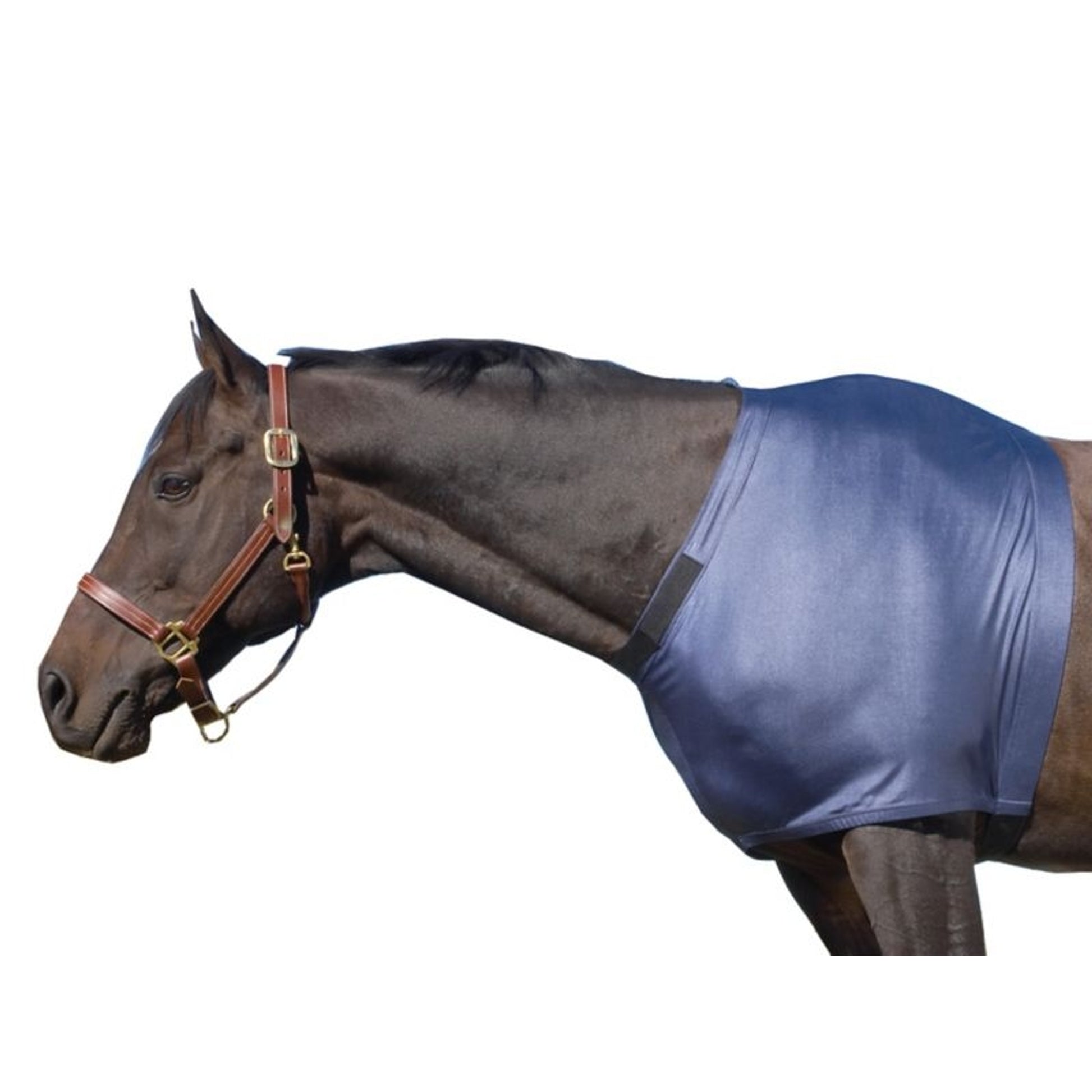 Equi-Essentials Stretch Shoulder Guard
