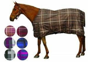 Pessoa Alpine Turnout Sheet 70 Clay/Amethyst