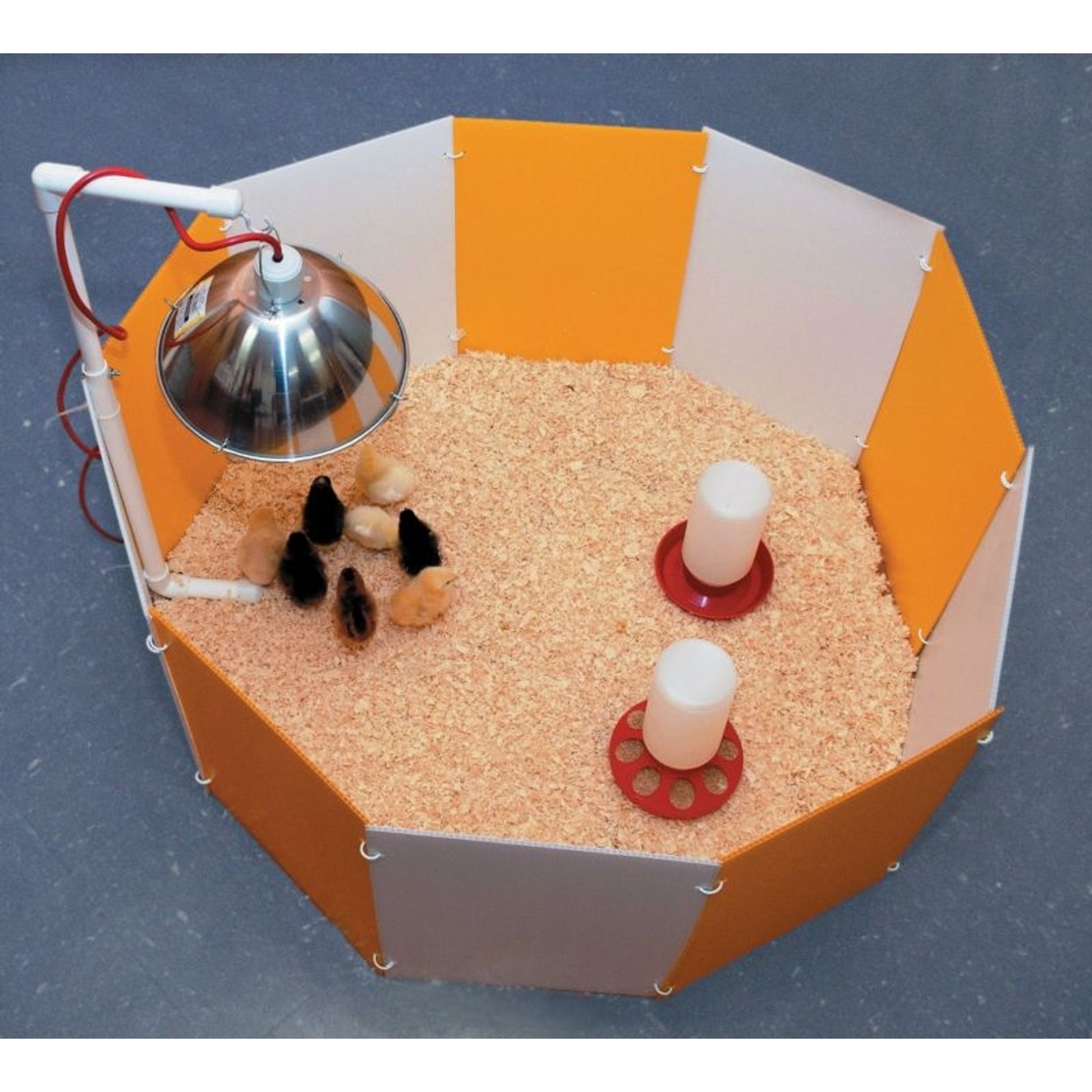 Farm Innovators Baby Chick Starter Home