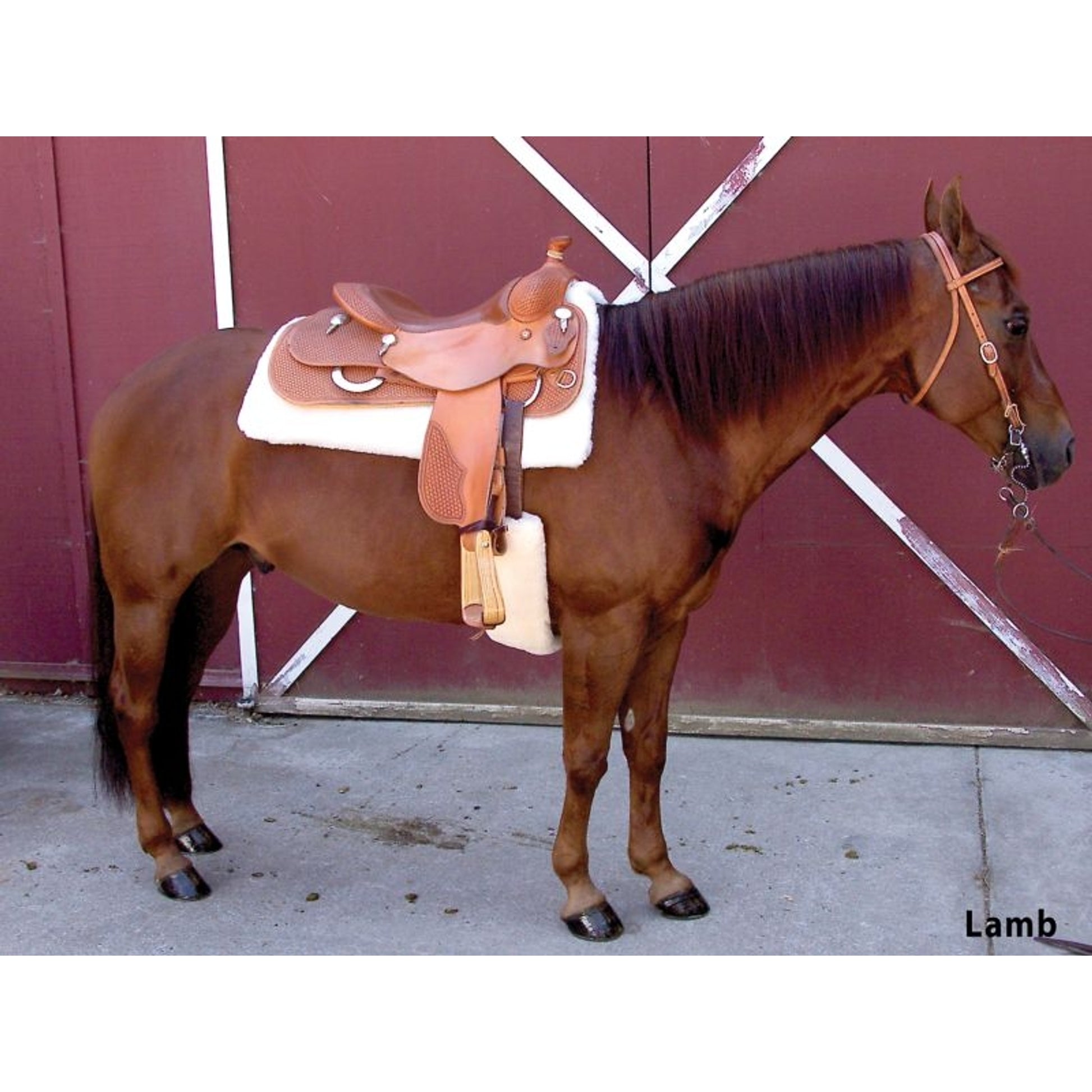 Toklat Cool Back Cinch Cover