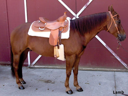 Toklat Cool Back Cinch Cover
