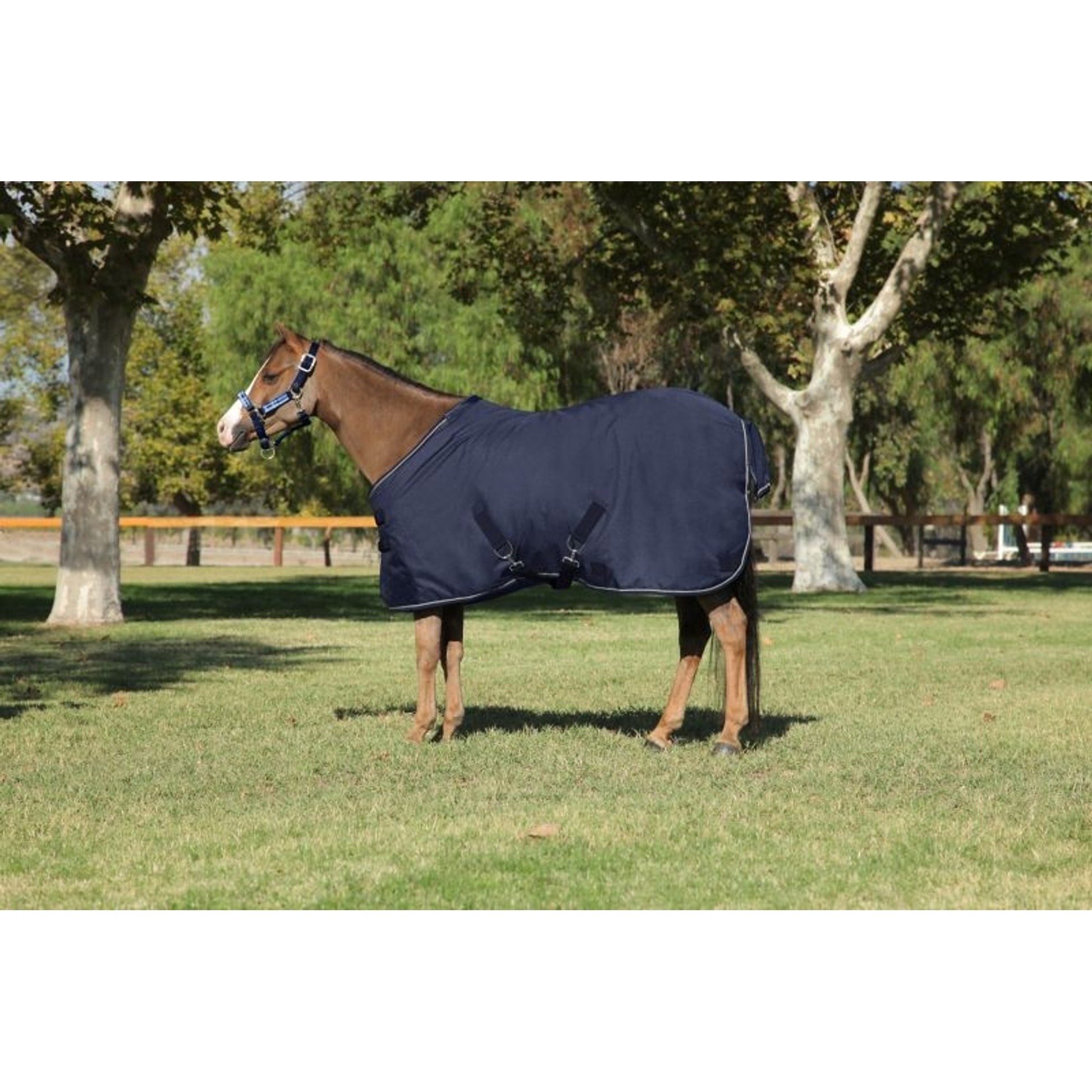 Kensington All Around Pony 80G Turnout