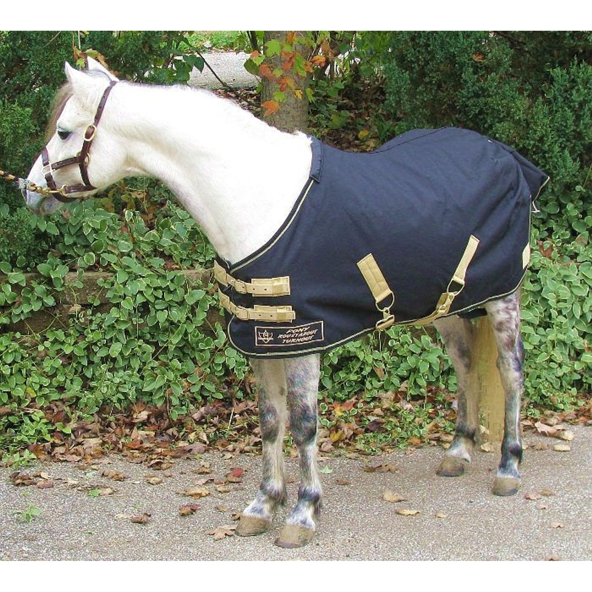 Kensington All Around Pony 80G Turnout