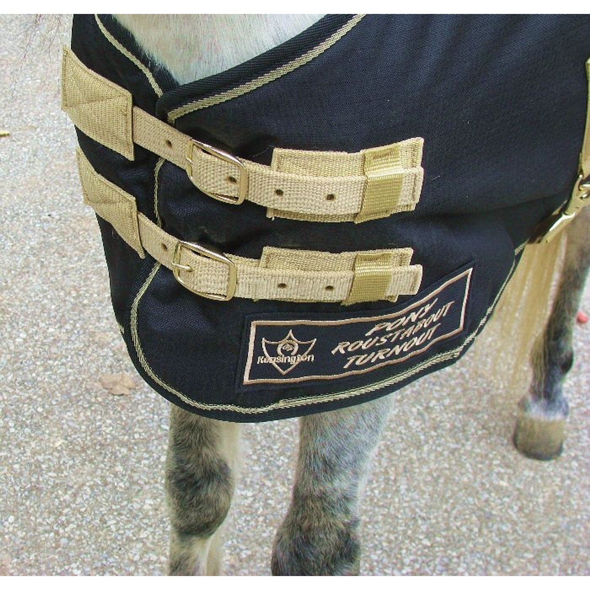 Kensington All Around Pony 80G Turnout