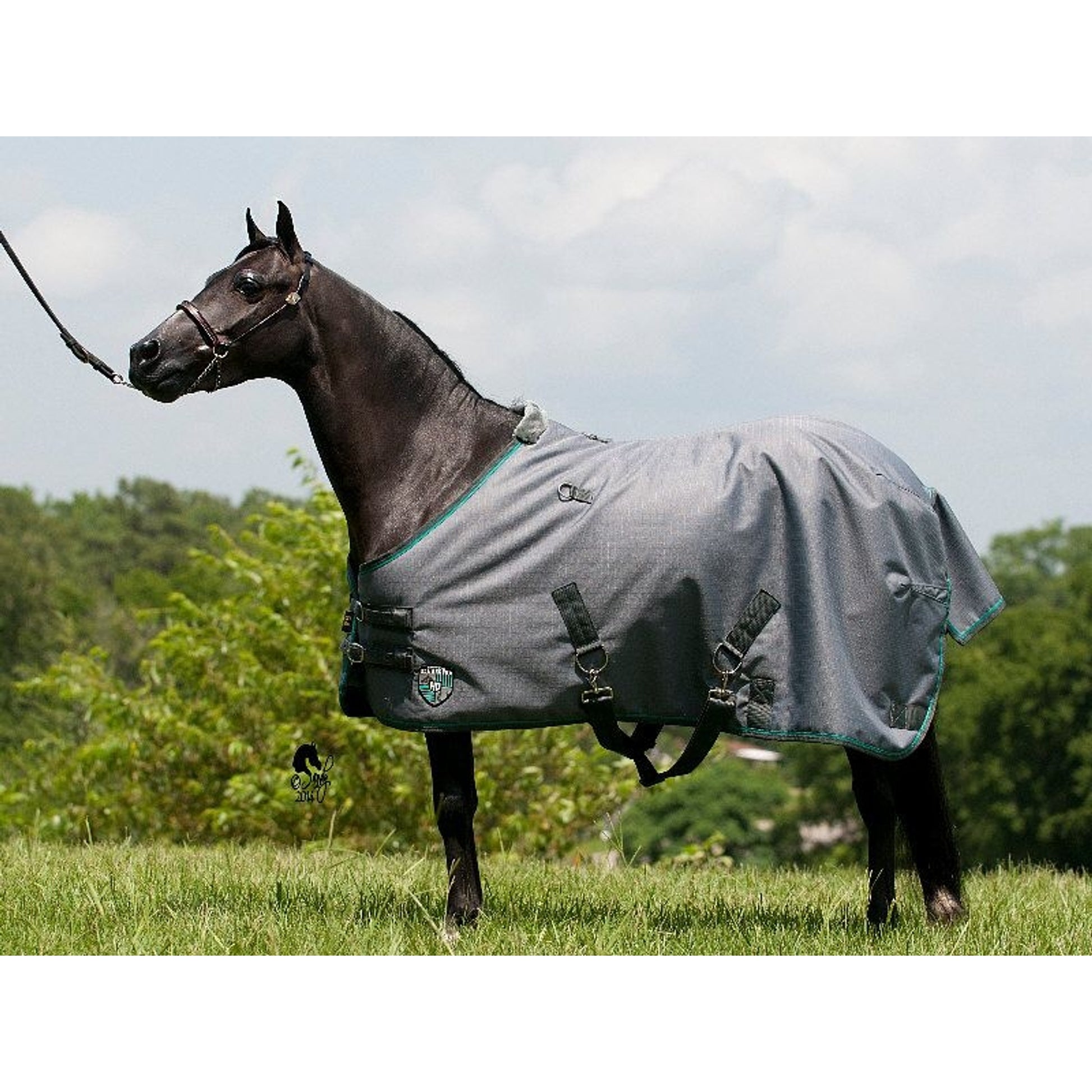 Kensington All Around Pony 80G Turnout