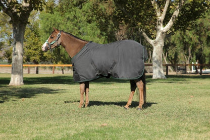 Kensington All Around Pony 80G Turnout