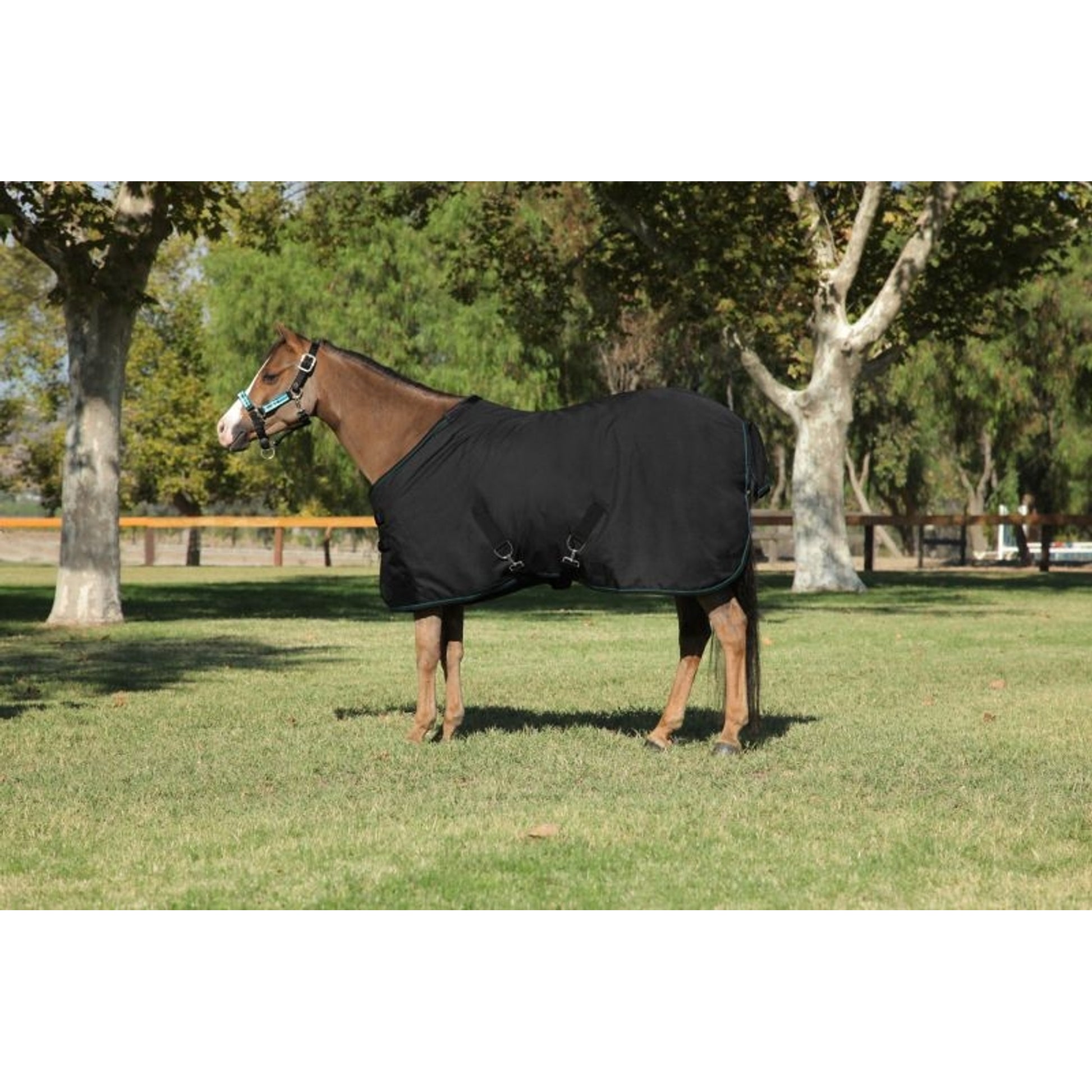 Kensington All Around Pony 80G Turnout