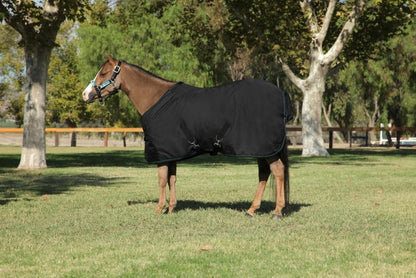 Kensington All Around Pony 80G Turnout