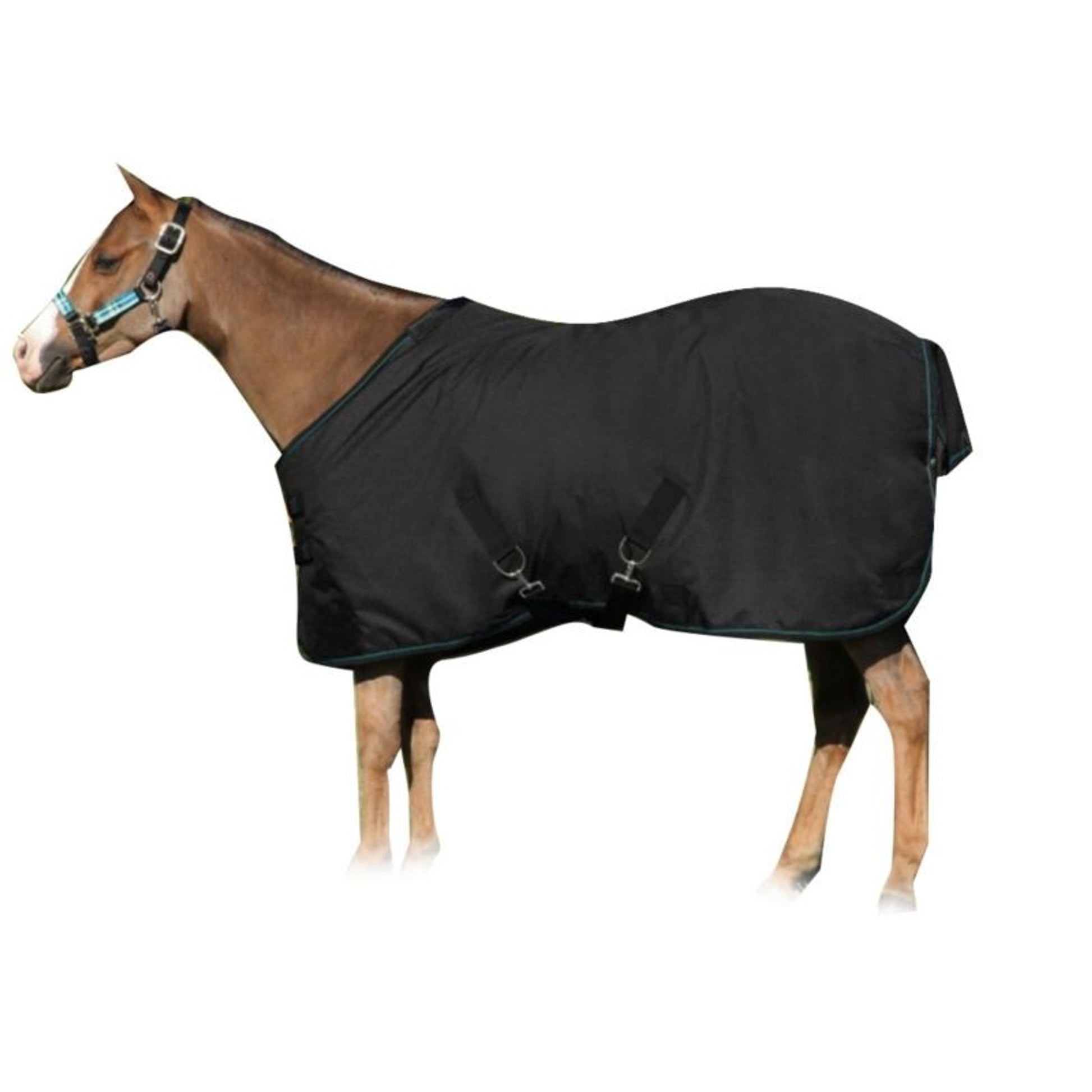 Kensington All Around Pony 80G Turnout