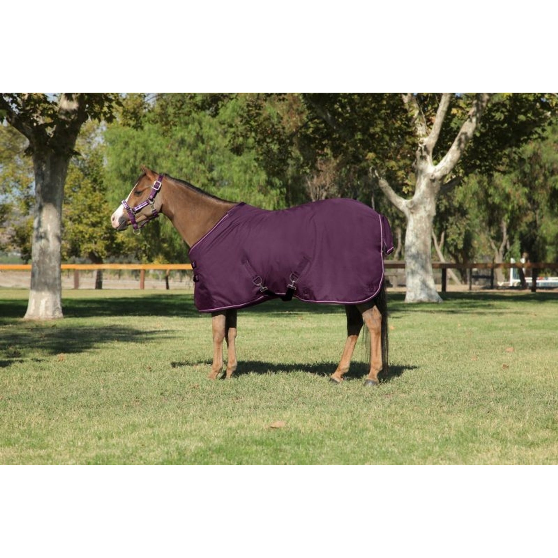 Kensington All Around Pony 80G Turnout