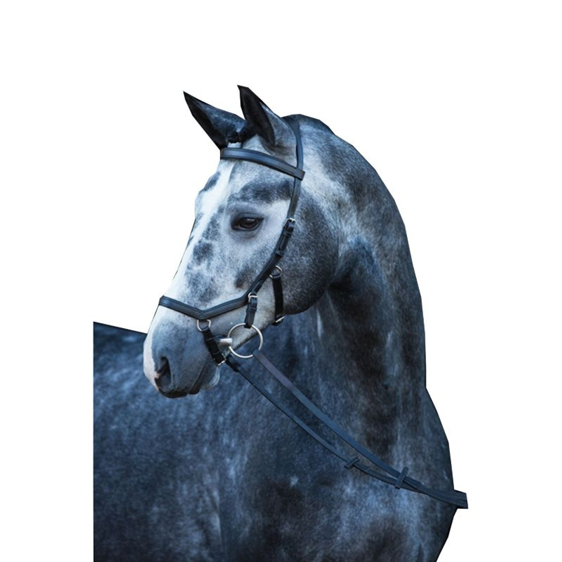 Rambo Micklem Competition Bridle