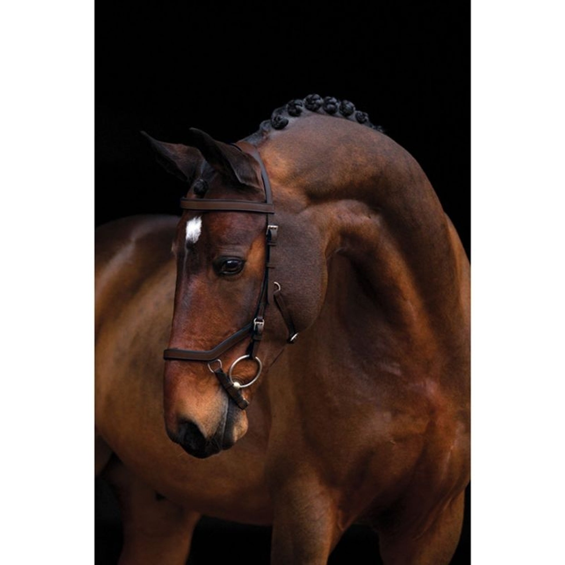 Rambo Micklem Competition Bridle