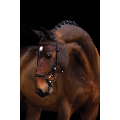 Rambo Micklem Competition Bridle